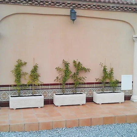 Aventurero * Vinuela