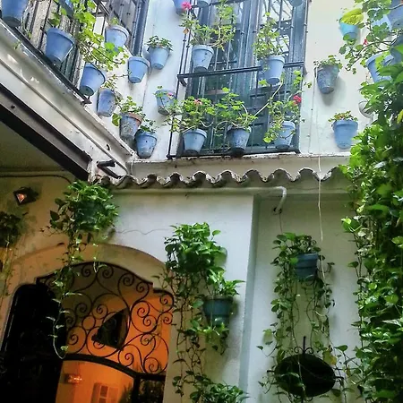 Aventurero *